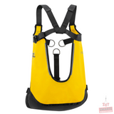 Petzl PITAGOR Evacuatie driehoek voor reddingsoperaties